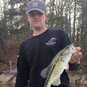 Meet your Posher, Hamilton